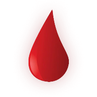 Blood Nodes|BLOOD_BLOOD价格_BLOOD最新价格_BLOOD交易所