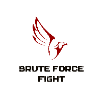 BruteForceFight|BFORCE_BFORCE价格_BFORCE最新价格_BFORCE交易所