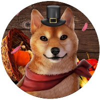DogeGiving|DOGEGIVING_DOGEGIVING价格_DOGEGIVING最新价格_DOGEGIVING交易所