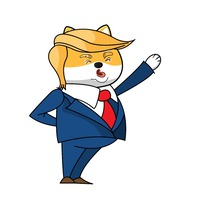 Trump Inu|TRUMP_TRUMP价格_TRUMP最新价格_TRUMP交易所