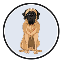 Mastiff Inu|MINU_MINU价格_MINU最新价格_MINU交易所