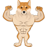 Alpha Shiba Inu|ALPHASHIB_ALPHASHIB价格_ALPHASHIB最新价格_ALPHASHIB交易所