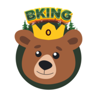 BKING Finance|BKF_BKF价格_BKF最新价格_BKF交易所
