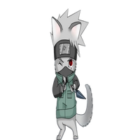 KakashiInuV2|KKI_KKI价格_KKI最新价格_KKI交易所