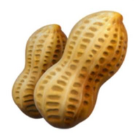 PEANUTS_PEANUTS币价格_PEANUTS最新价格_PEANUTS交易所