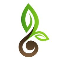 TREASURE SEEDS|SEEDS_SEEDS价格_SEEDS最新价格_SEEDS交易所