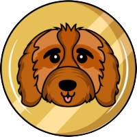 Cavapoo|CAVA_CAVA价格_CAVA最新价格_CAVA交易所