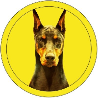 Dobermann|DOBE_DOBE价格_DOBE最新价格_DOBE交易所