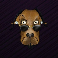 Snoop Doge|SNOGE_SNOGE价格_SNOGE最新价格_SNOGE交易所